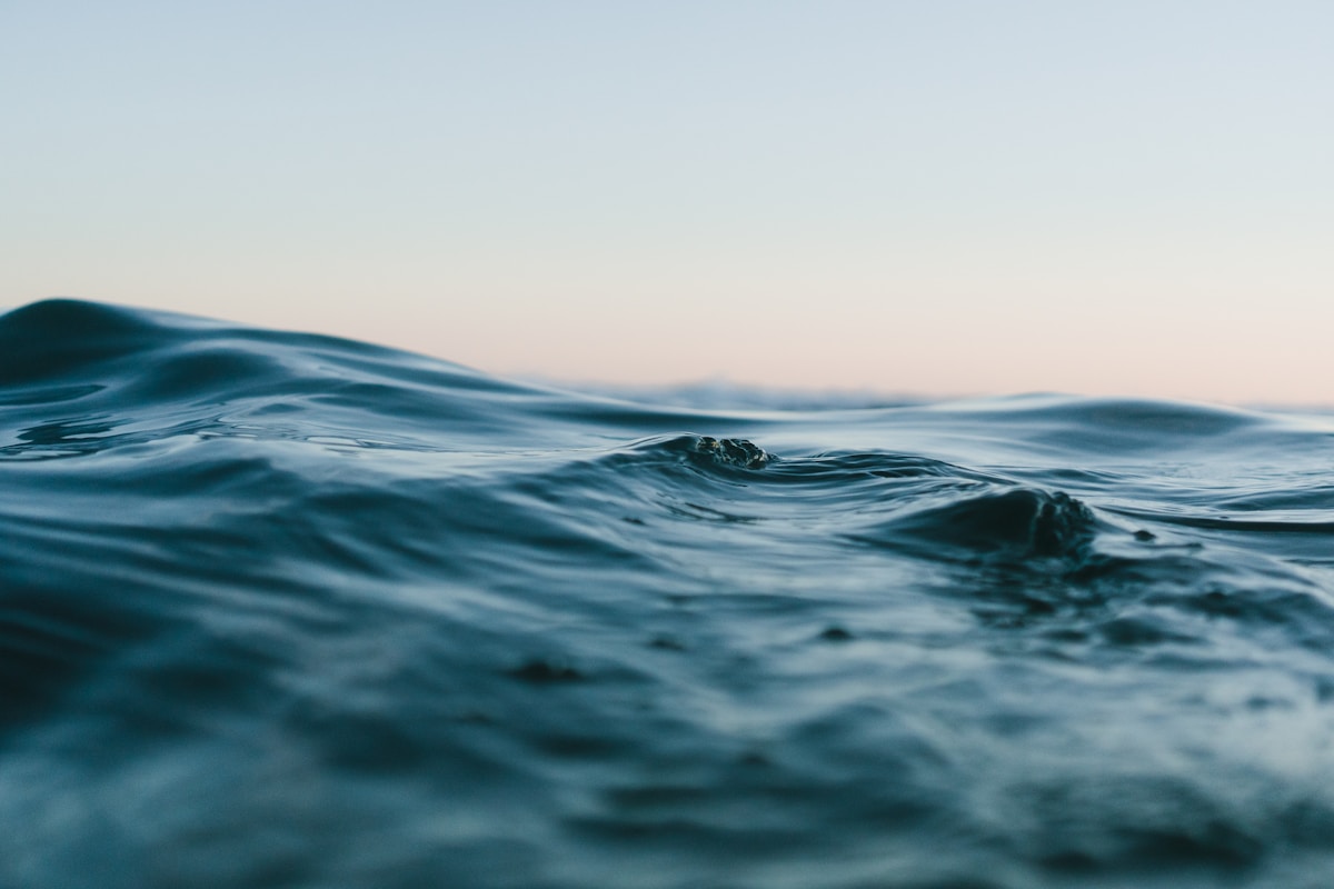 A calm ocean horizon, representing nervous-system regulation